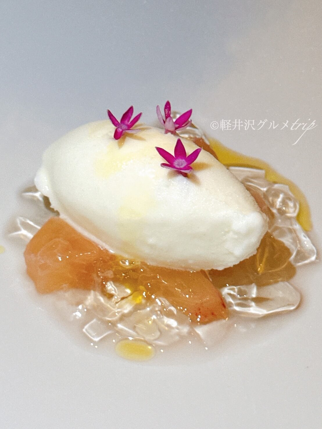 実食《TRATTORIA CREATTA 軽井沢》ディナーコースのメニュー紹介！石窯ローストや信州サーモンにパスタ